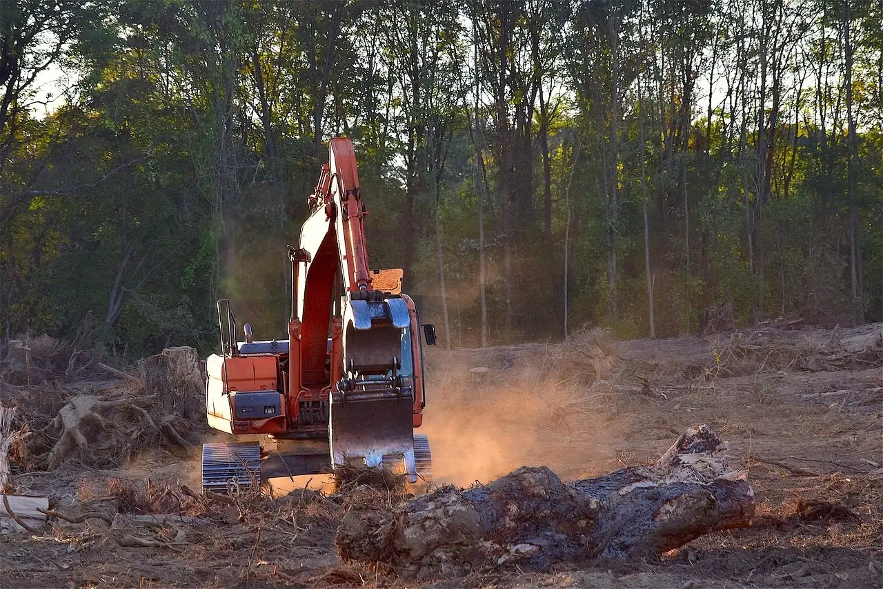 An excavator working on a freshly cleared lot with stumps and logs, a stand of trees behind